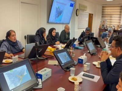 بازدید میدانی و بررسی روند پیشرفت طرح «طراحی محور ساحلی تا
برکه دریا دولت» در بندر کنگ