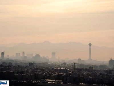 برای خانه خود نفس بخرید ؛ نجات از آلودگی با ۵ گیاه آپارتمانی