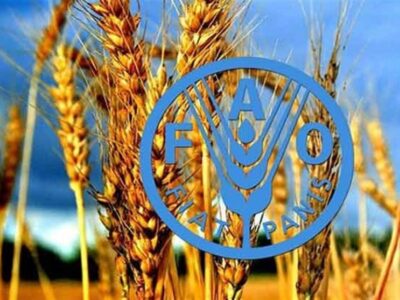 برنامه پزشکان خاک ایران مورد تحسین فائو قرار گرفت