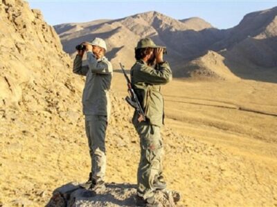 جذب ۸۰۰ نیروی جدید در سازمان حفاظت محیط‌زیست