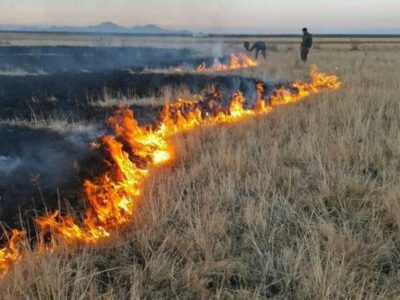 جزئیات مهار آتش‌سوزی در پارک ملی دریاچه ارومیه