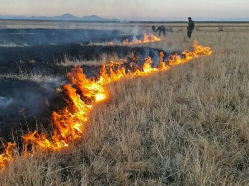 جزئیات مهار آتش‌سوزی در پارک ملی دریاچه ارومیه