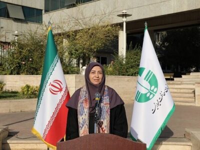 در دیدار معاون رئیس‌جمهور با وزیر اقلیم و محیط زیست نروژ چه گذشت؟