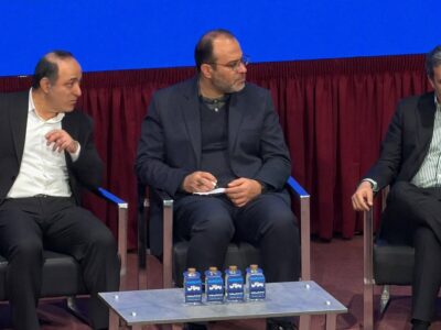 دولت در ارائه لایحه قانون‌گذاری دارایی‌های دیجیتال تعلل کرده/ فرصت صندوق‌های طلا از دست رفت و بازار سرمایه کند عمل کرد