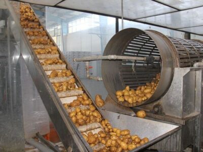 ظرفیت صنایع تکمیلی کشاورزی بابل ۲۰ هزار تن افزایش یافت