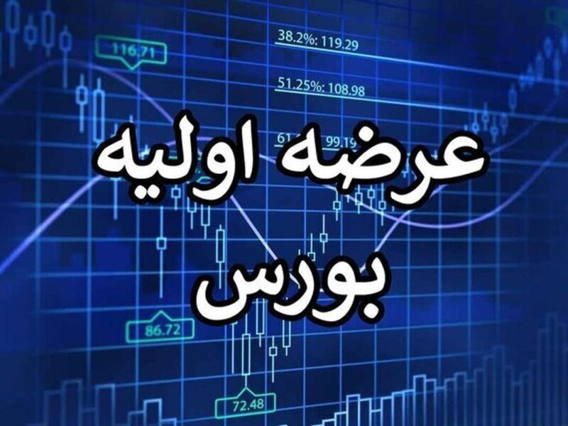 عرضه اولیه غول بزرگ پتروشیمی در بورس/ زمان و جزئیات عرضه اعلام شد