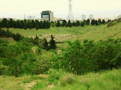 قرنطینه موقت مرکز بازپروری پردیسان به دلیل شیوع ویروس «پن‌لوکوپنی»