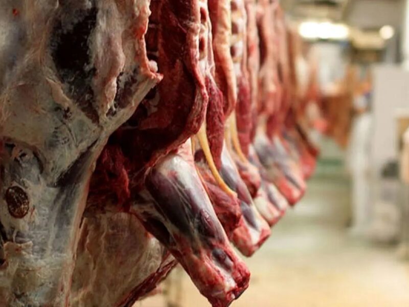 قیمت گوشت قرمز امروز ۱۶ آذر ۱۴۰۴ / ماهیچه گوساله چند؟
