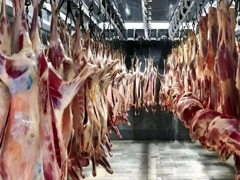 قیمت گوشت قرمز امروز ۱۷ آذر ۱۴۰۴ / فیله گوساله چند؟