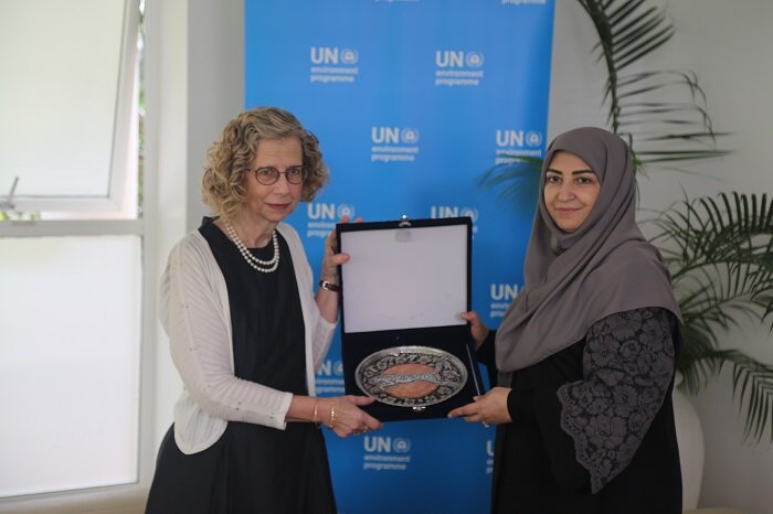 معاون رئیسجمهور با دبیر اجرایی برنامه محیطزیست مللمتحد دیدار کرد