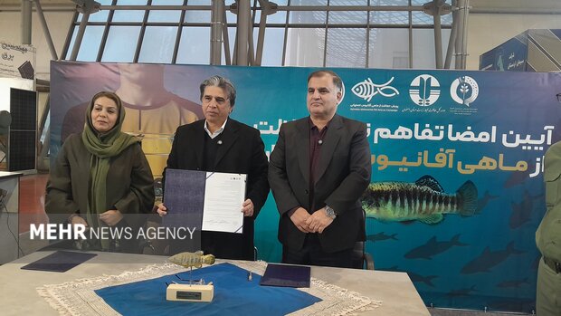 نماد زیستی اصفهان روی پیراهن سپاهان؛تفاهمنامه حفاظت از آفانیوس امضا شد