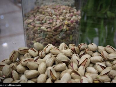 هسته‌ای در کشاورزی ــ ۶۵ | دفع حشرات «پسته» با فناوری هسته‌ای