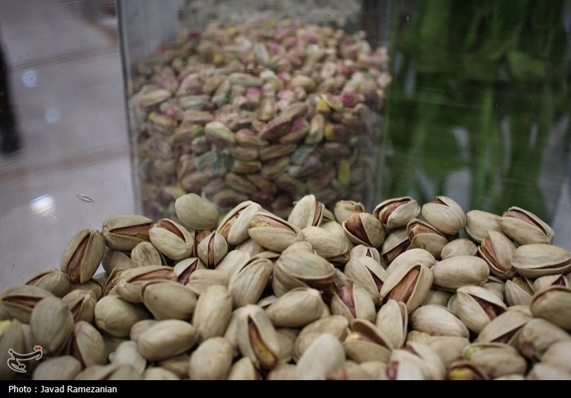 هسته‌ای در کشاورزی ــ ۶۵ | دفع حشرات «پسته» با فناوری هسته‌ای