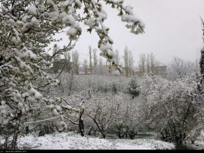 هشدار هواشناسی به ۲۵ استان؛ خسارت به محصولات کشاورزی با تشدید بارشها