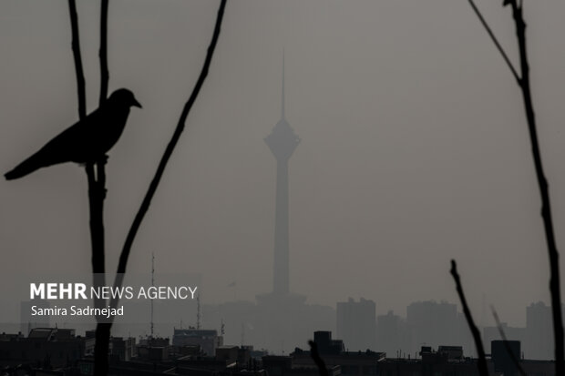 وضعیت هوای تهران در حال حاضر چگونه است؟