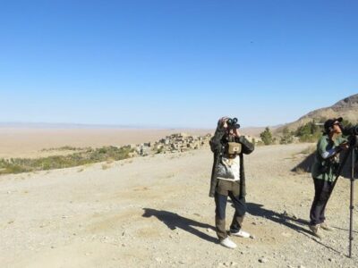 پرندگان شکاری در روستای قلعه بالای بیارجمند پایش میشوند