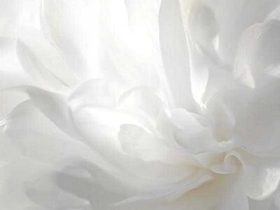 چگونه رنگ سال ۲۰۲۶ را در استایل شخصی به کار ببریم؟