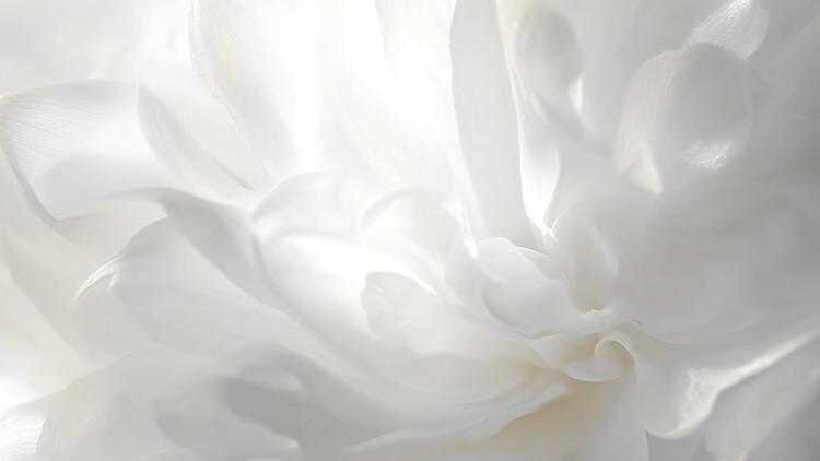 چگونه رنگ سال ۲۰۲۶ را در استایل شخصی به کار ببریم؟