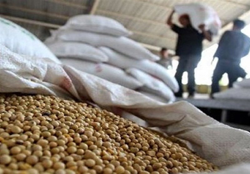 کاربرد فناوری هستهای در جلوگیری از فساد سویا در انبار