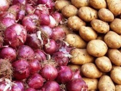 کمبودی در بازار میوههای ویژه شب یلدا وجود ندارد