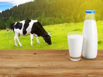 گلایه انجمن صنایع لبنی از قیمت شیر خام به رئیسجمهور