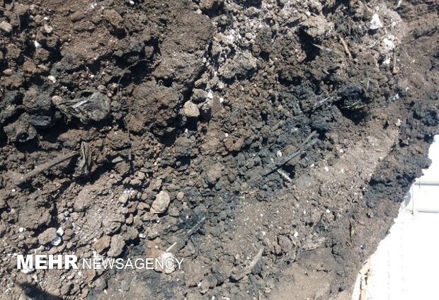 گلعلیزاده: خاکهای آلوده به مازوت در قمیشلو به زودی پاکسازی میشود