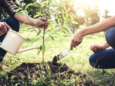 ۱۰۵ نهالستان دانش‌آموزی در استان سمنان ایجاد شد؛ نسل جدید «حافظ طبیعت»