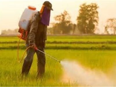 ۸ محصول جدید به سبد آفت‌کش گیاهی اضافه می‌شود