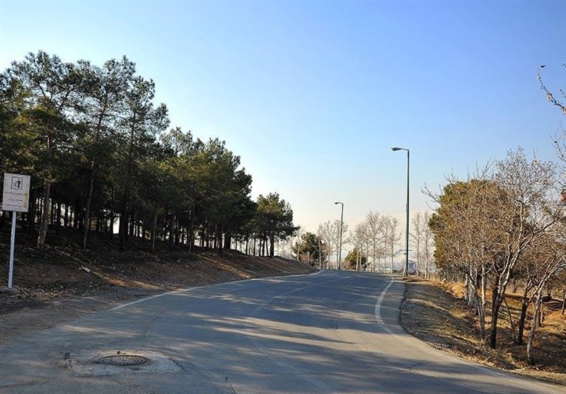 اخبار تهران| ۳۳۲۵۰ نهال در بوستان سرخه‌حصار کاشته می‌شود