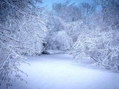 بارش برف و باران در شمال غرب کشور