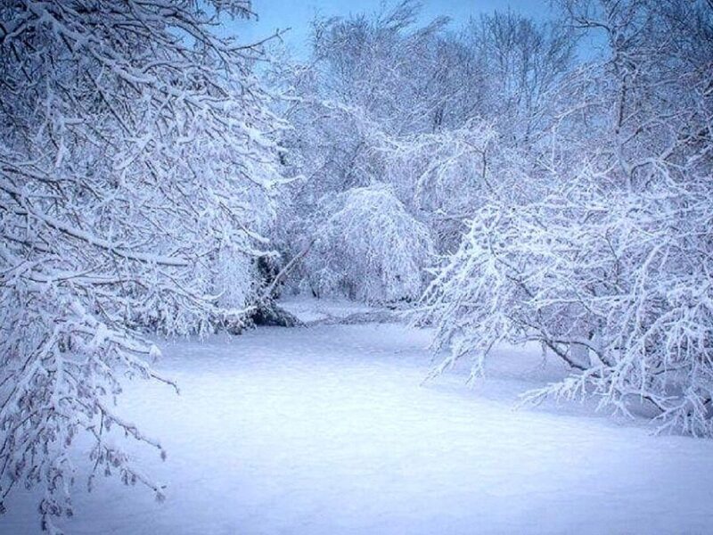 بارش برف و باران در شمال غرب کشور