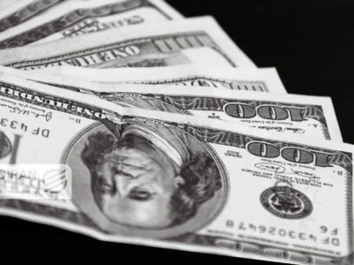 تزریق دلار ۱۵ شرکت پتروشیمی به بازار ارز