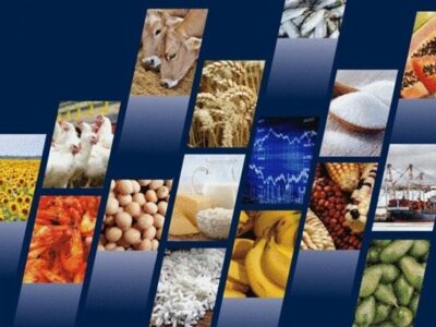ثبت سفارش واردات ۶ محصول کارخانجات صنایع غذایی باز شد