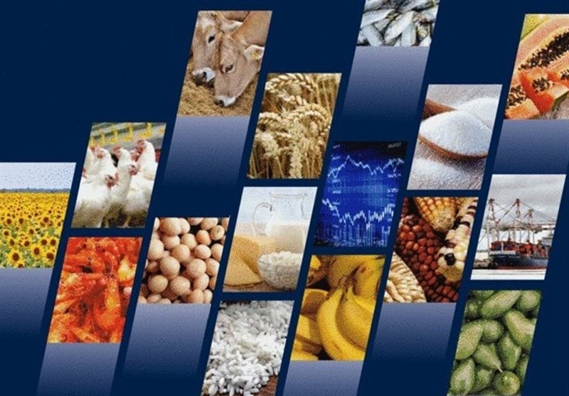 ثبت سفارش واردات ۶ محصول کارخانجات صنایع غذایی باز شد