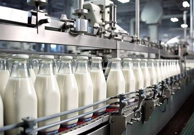 قیمت جدید شیر خام از امروز وارد مرحله اجرا می شود