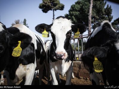 هسته‌ای در کشاورزی ــ ۷۲ | مدیریت حشرات ناقل بیماری دامی + اینفوگراف