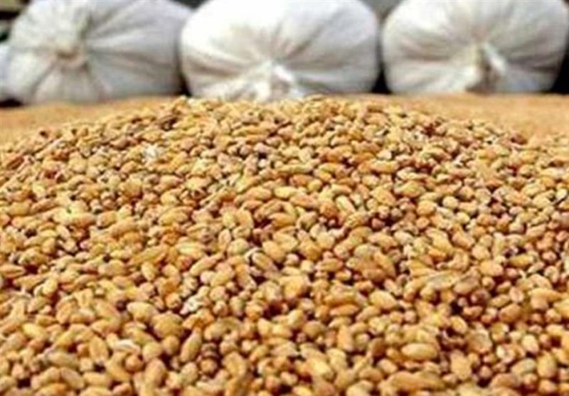 پرداخت تسهیلات برای خرید نهاده‌ با حذف ارز ترجیحی