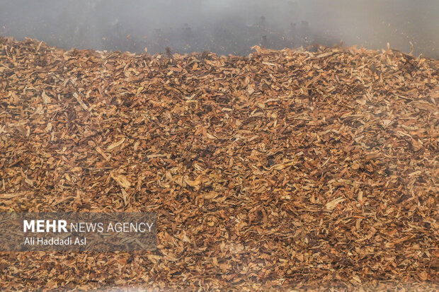 ۲۷ درصد بازار سیگار و ۹۳ درصد بازار تنباکو در اختیار قاچاقچیان است