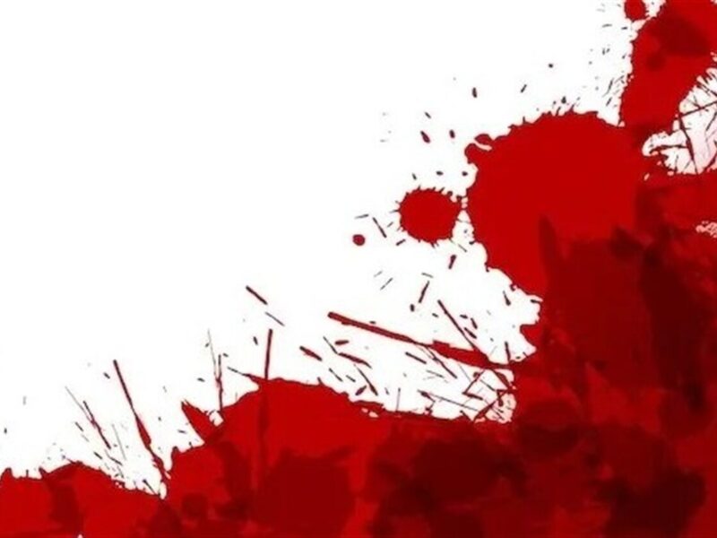 جزئیات تازه از پرونده قتل ملیکا