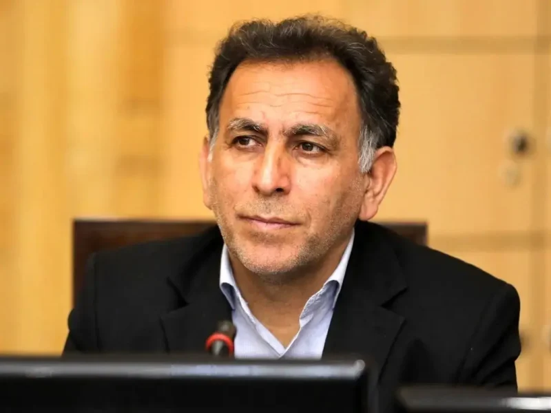 حذف ارز ترجیحی زمینه‌ساز ثبات در بازار می‌شود