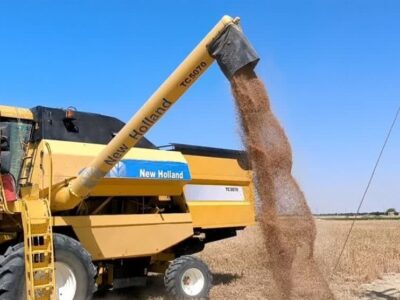 ارسال روزانه ۵ هزار تن گندم به سراسر کشور