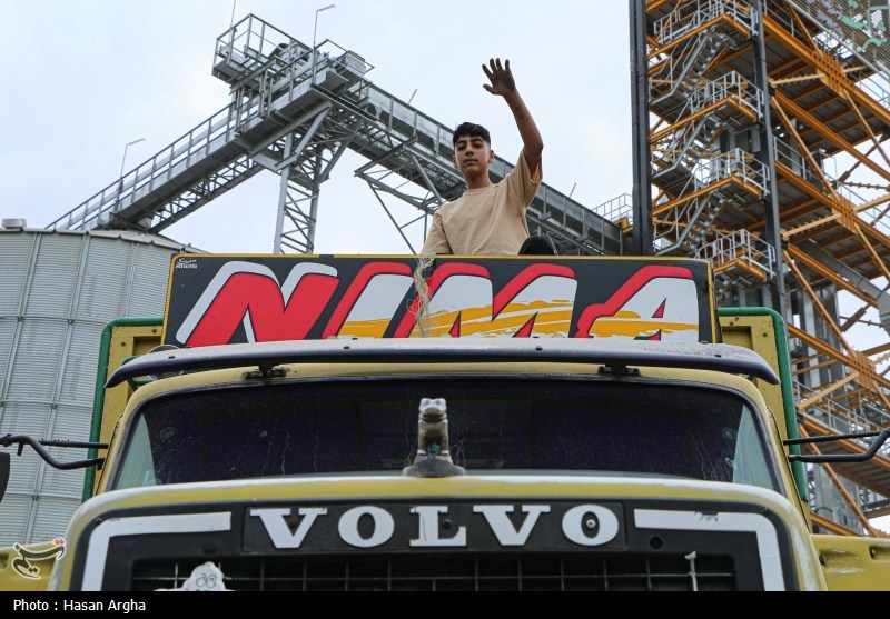 ترخیص روزانه ۸۵۰۰ تن کالای اساسی از امیرآباد