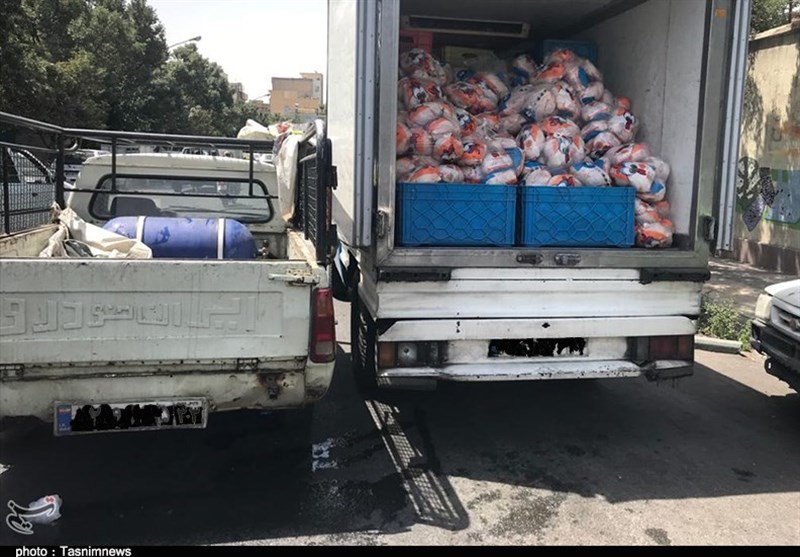 تسریع حمل نهادههای دامی از بنادر ضروری است