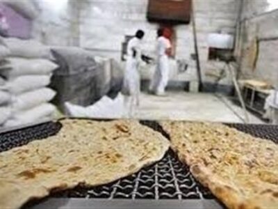 ذخایر گندم و آرد برای ۶ ماه تامین است
