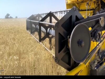 آغاز برداشت گندم در ۶ استان کشور