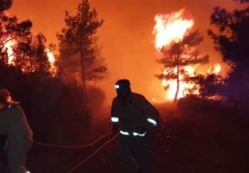 تهدیدهای نوظهور در کمین جنگل‌های هیرکانی؛ خطر آتش‌سوزی نزدیک است