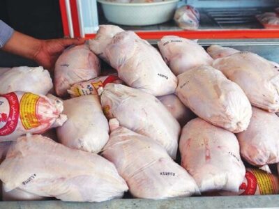 توزیع بیش از ۴۲۰۰ تن مرغ در بازار هرمزگان