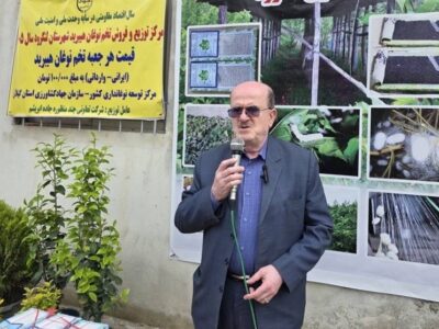 تولید نخ ابریشم ایران به ۲۵۰ تن رسید