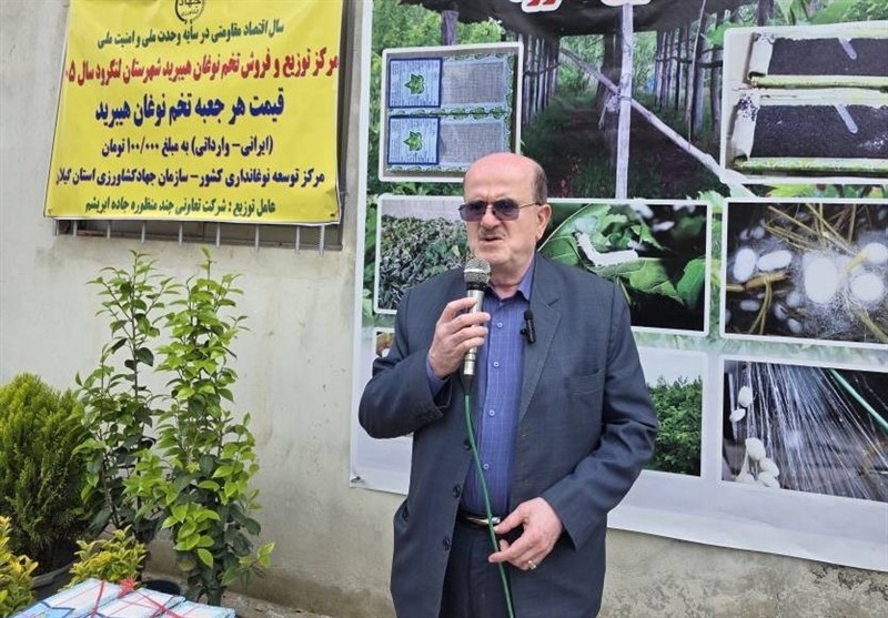 تولید نخ ابریشم ایران به ۲۵۰ تن رسید