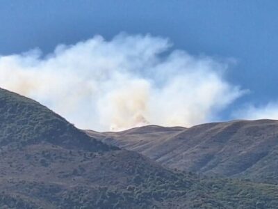 حمله به سازمان منابع طبیعی را به نهادهای سازمان ملل منعکس کرده‌ایم